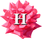 Heavenletters